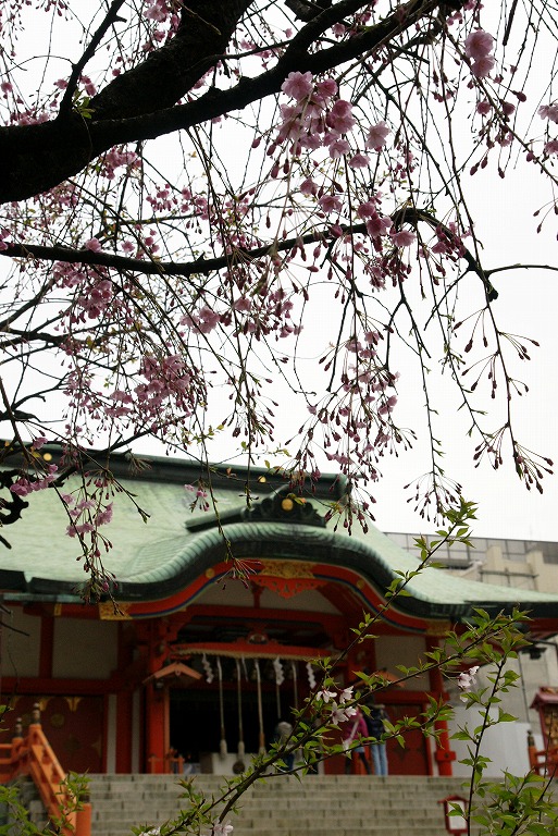 新宿御苑/花園神社