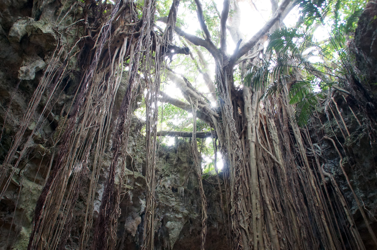 ガンガラーの谷